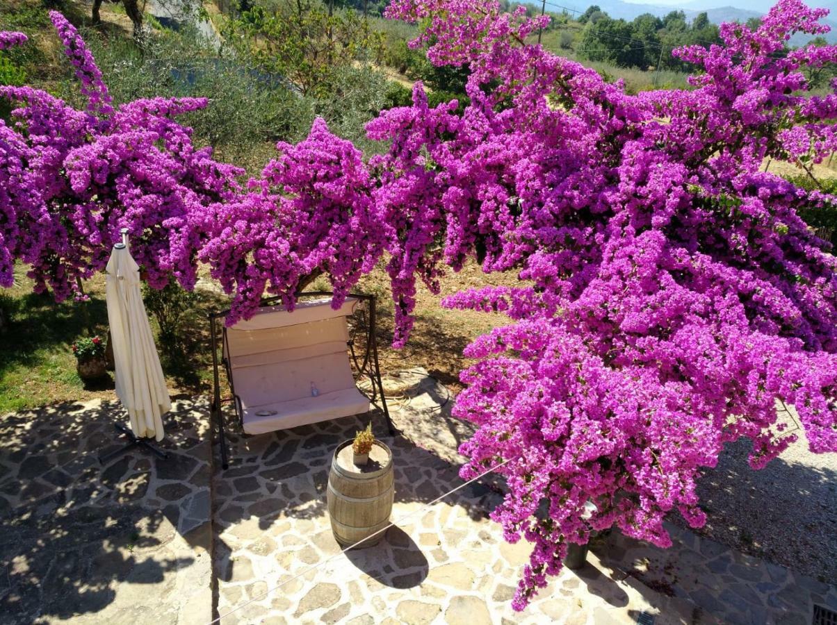 Agriturismo Il Marchese Aquara Esterno foto